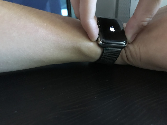 how-to-start-and-reset-apple-watch-picture-2-BdhWVwzcd.jpg
